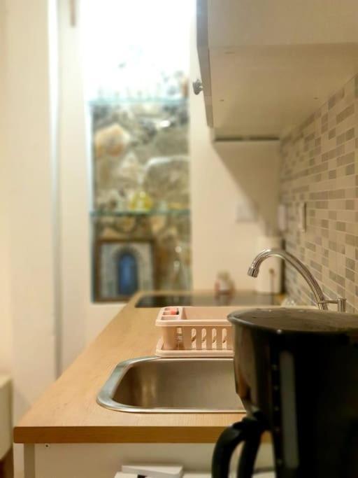 Studio Apartman Barbeta Grebaštica Buitenkant foto